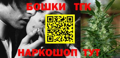 индика Заволжье