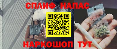 индика Заволжье