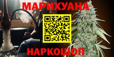 прущие грибы Жуковский