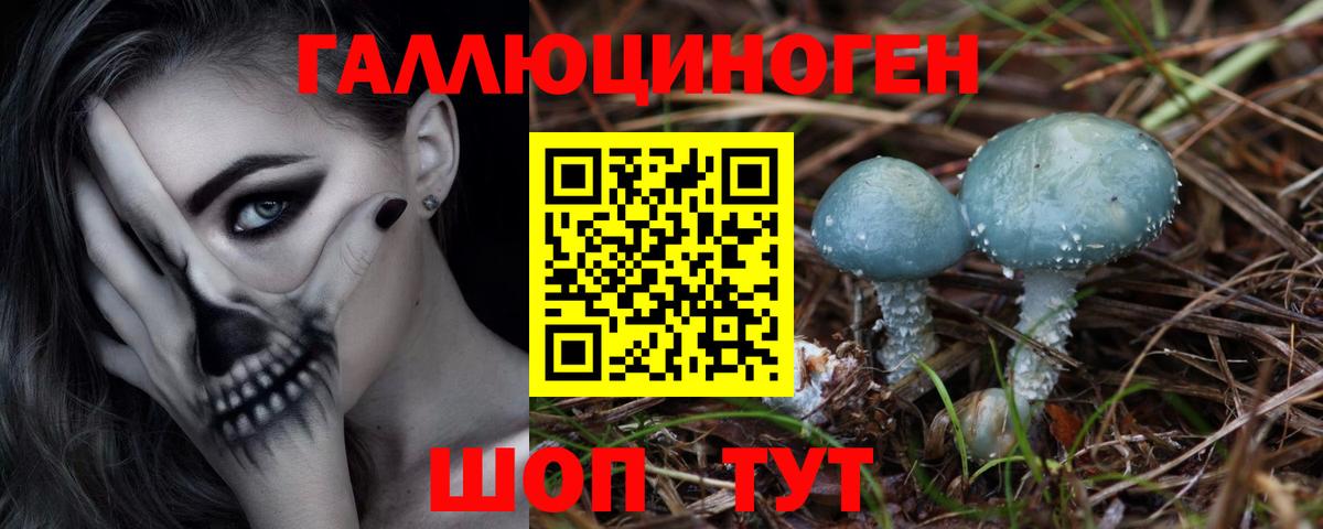 Псилоцибиновые грибы прущие грибы  Псилоцибиновые грибы MAGIC MUSHROOMS  Вход с VPN  наркотики  Горячий Ключ 