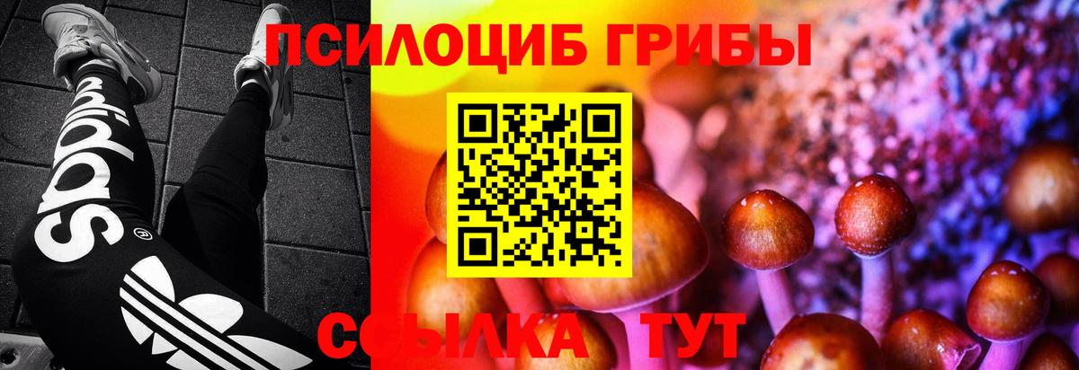 Галлюциногенные грибы ЛСД Горячий Ключ